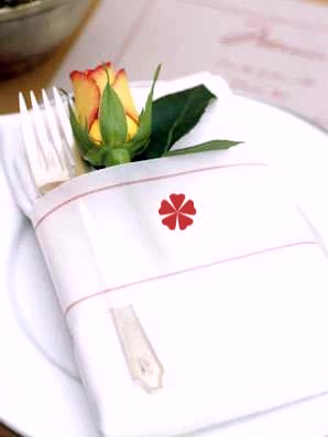 sidepanel_Image-from-Video-Napkin-with-logo-and-missing-name.jpg